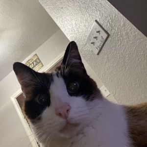 Meet your Posher, Mabry